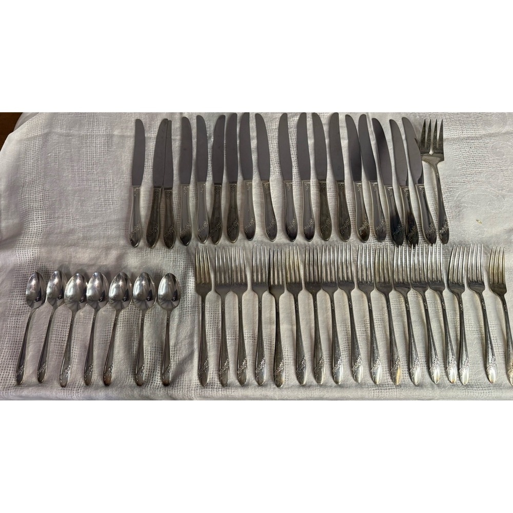 Vintage Oneida Flatware Queen Bess II Assorted Lot Of 43 Knives Spoons Forks